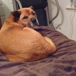 Meet your Posher, Dan